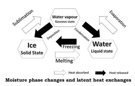 Diagram

Description automatically generated