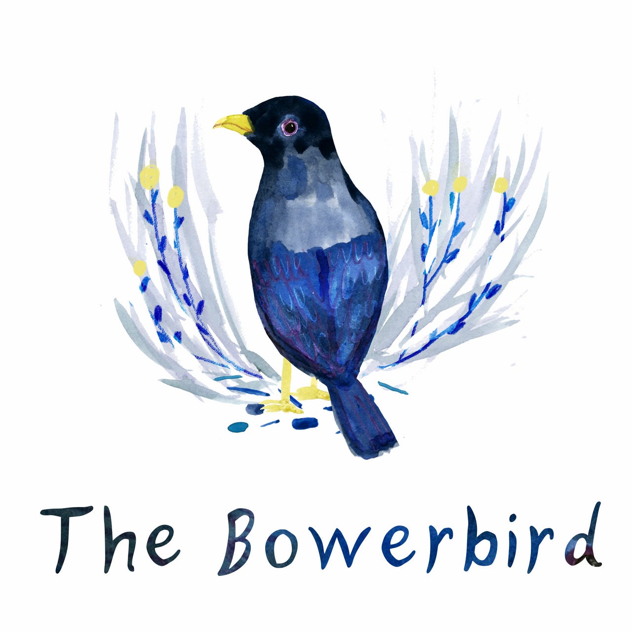 The Bowerbird
