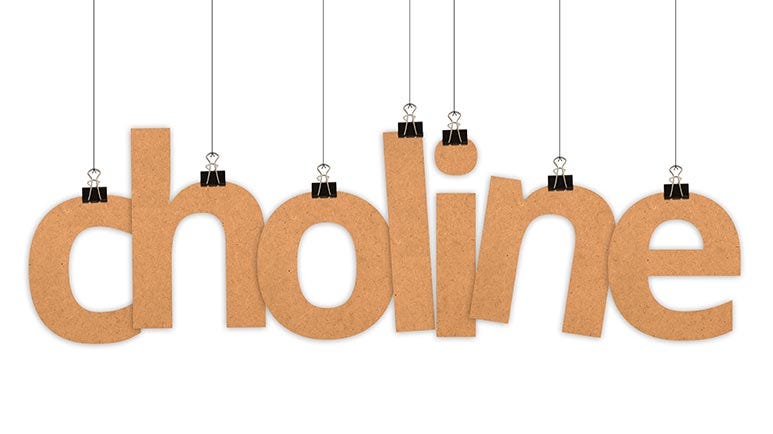 choline eggs