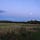 At the Tree Line