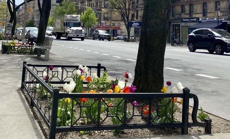 What it takes to add Tree Guards to a famous Manhattan park