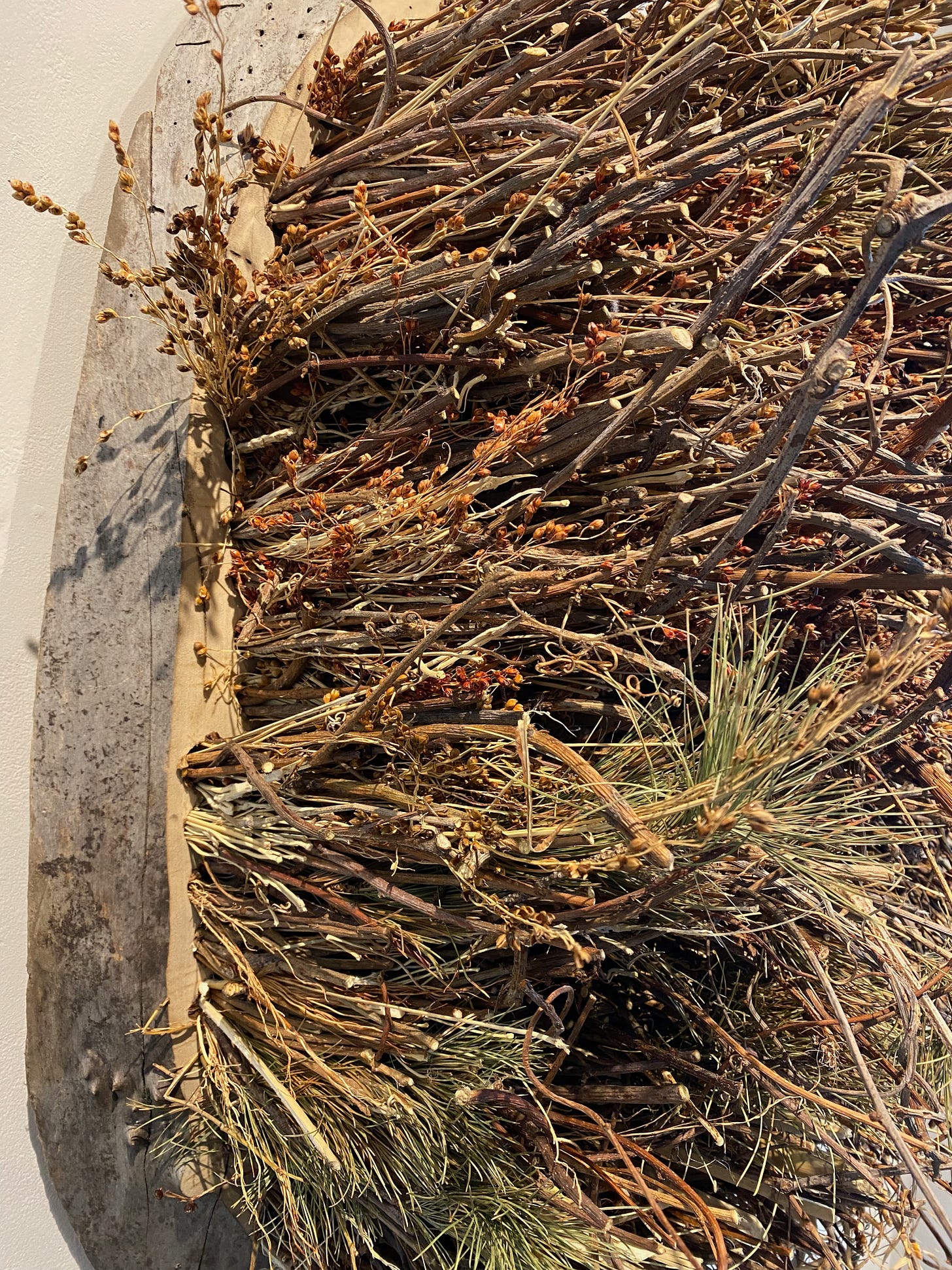 Closeup of the bristles of a large natural brush, made with bittersweet and pine needles.