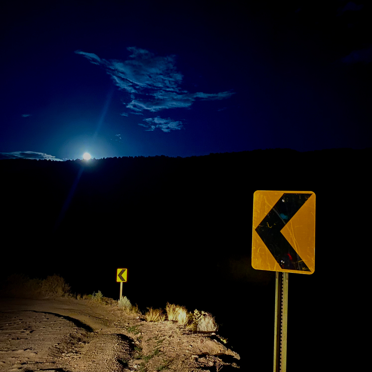 Alison’s Newsletter