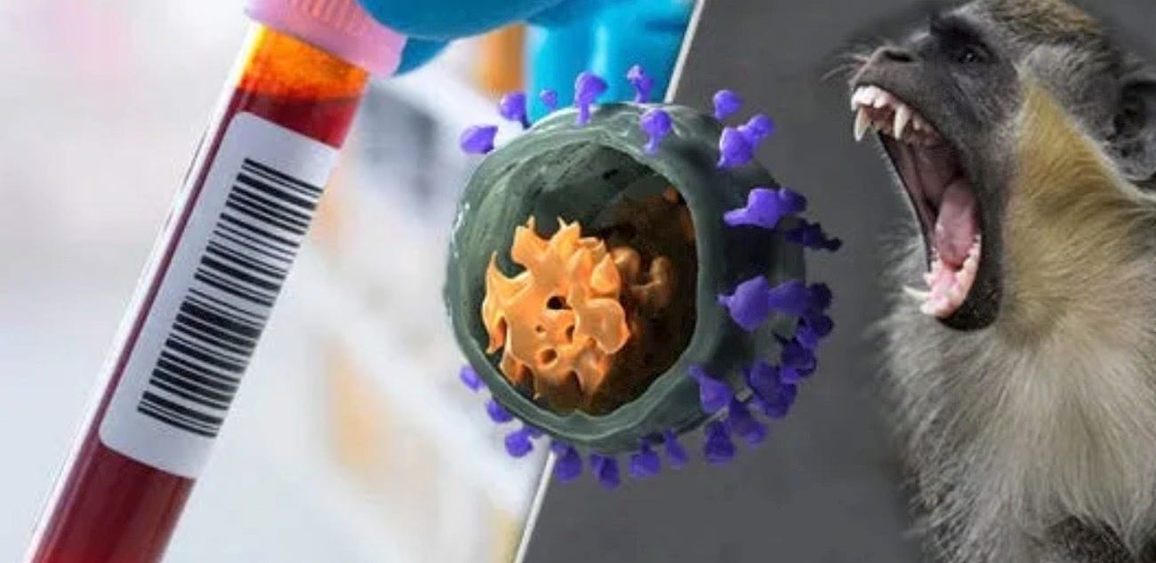 Ivermectin Blocks "Vaccine" SV40 Promotor Sequences From Entering the Host Nucleus