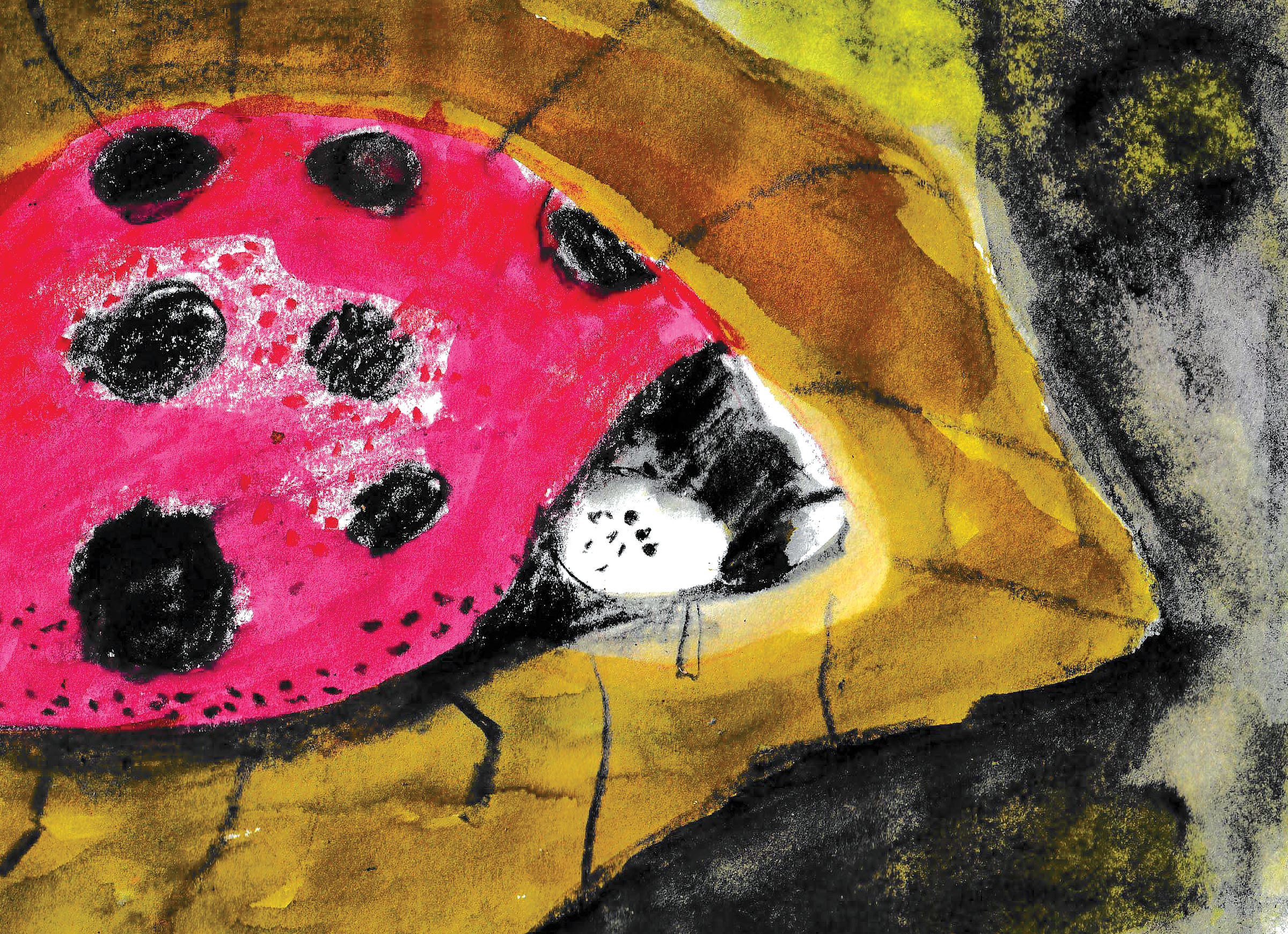 ladybug illustration by Beth Spencer