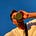 Matt Shaw's avatar