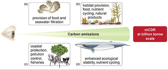 Figure 2. Figure 2.