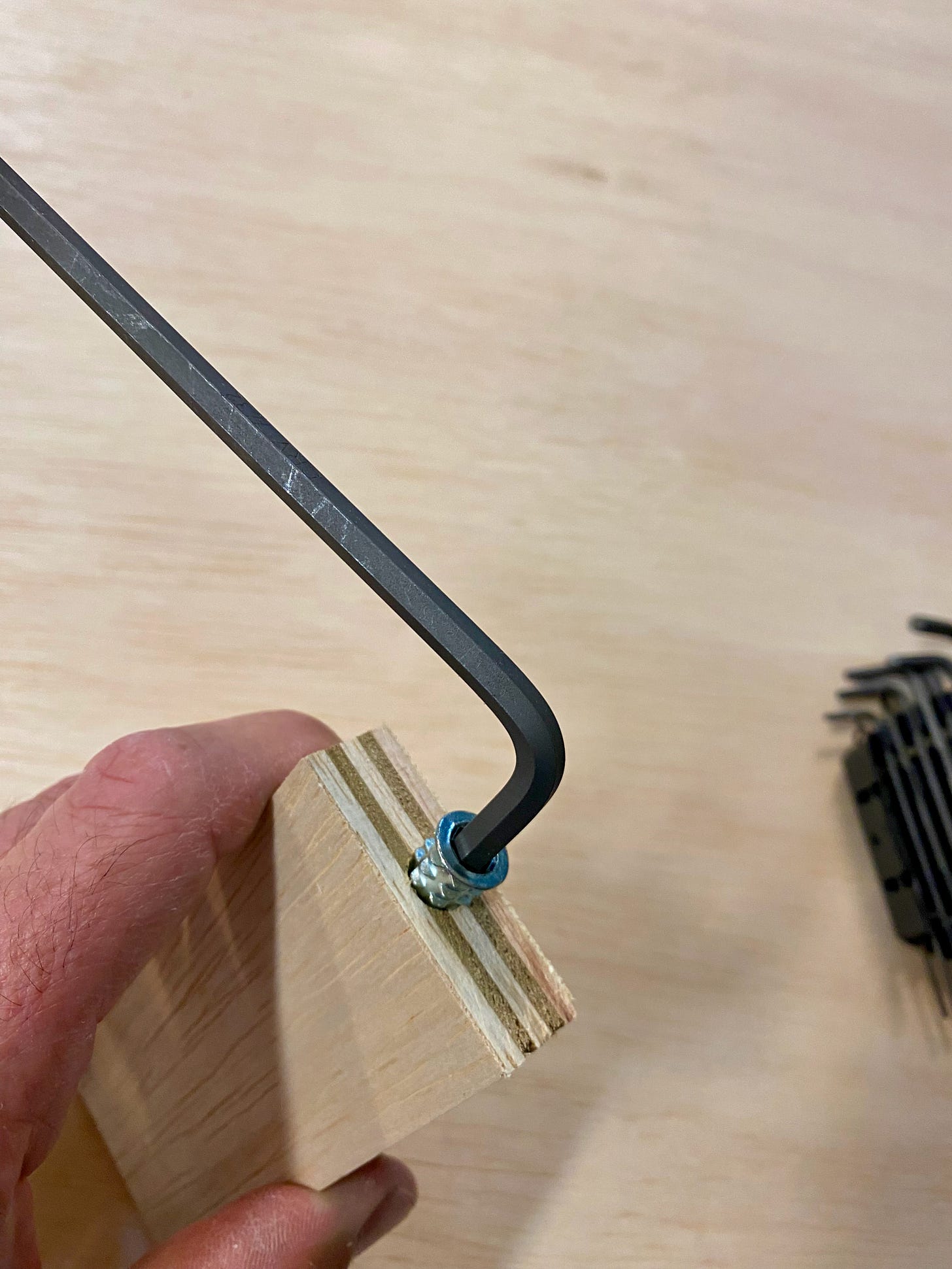 Inset Screws