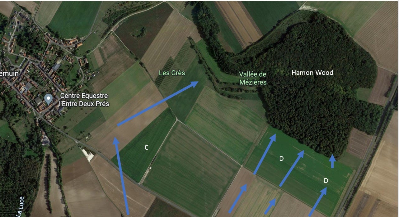 May be an image of map