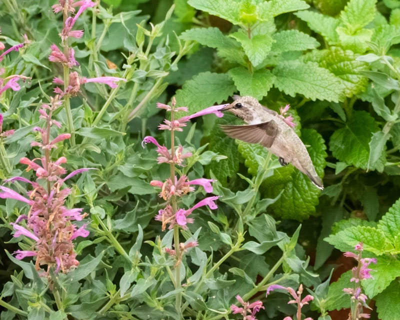 20260720-mby-212-Edit.jpg