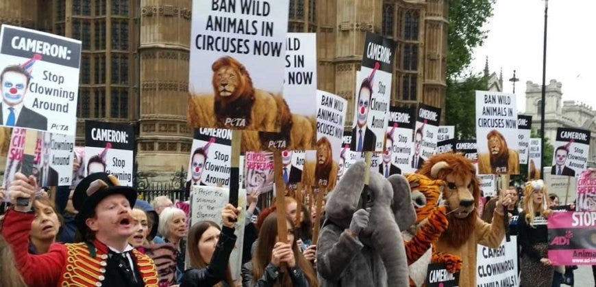 Finally! Government Introduces Bill to Ban Use of Wild Animals in ... Finally! Government Introduces Bill to Ban Use of Wild Animals in ...