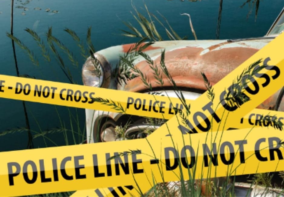 Blinders: A Crime Thriller by Ida Linehan Young