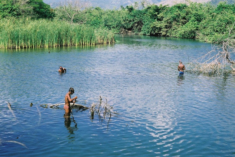 cuba_pastoral003