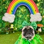 creativ8ty vomit's avatar