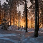 A Day Before Winter's Solstice