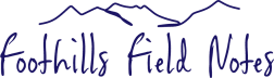 Foothills Field Notes
