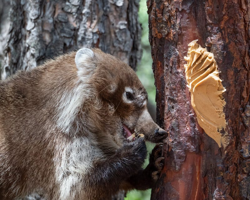 20240623-AZYBC-510-Edit.jpg 20240623-AZYBC-510-Edit.jpg