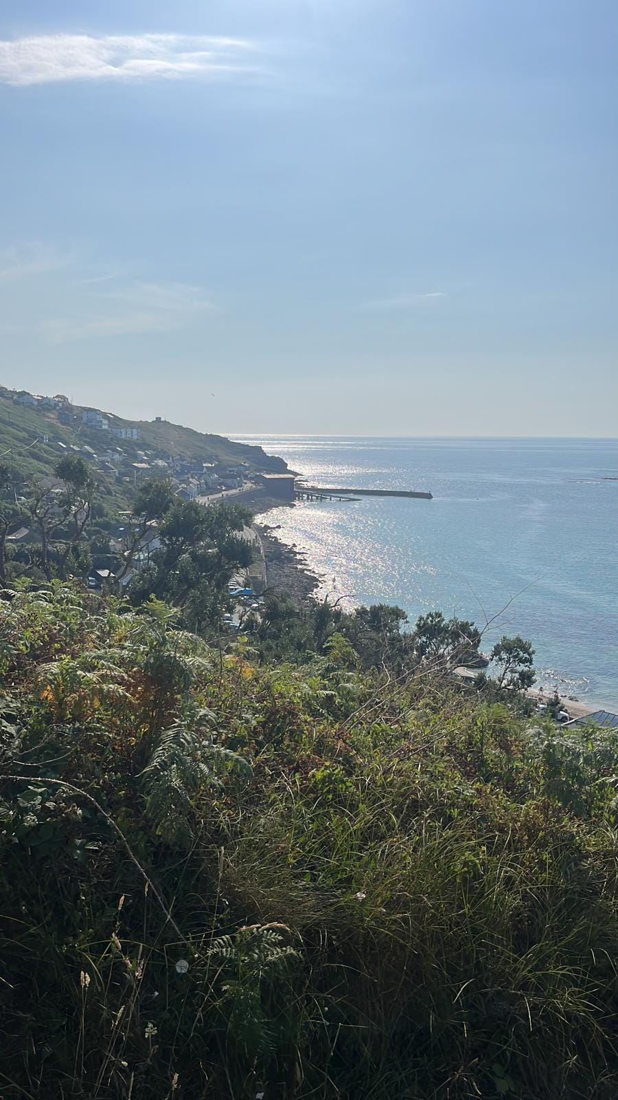 A view of Sennen Cover from the cliffs