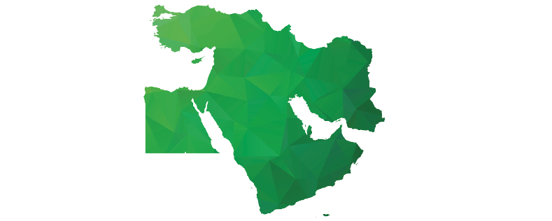 China's Middle East Policy by Peking University Prof. Wu Bingbing