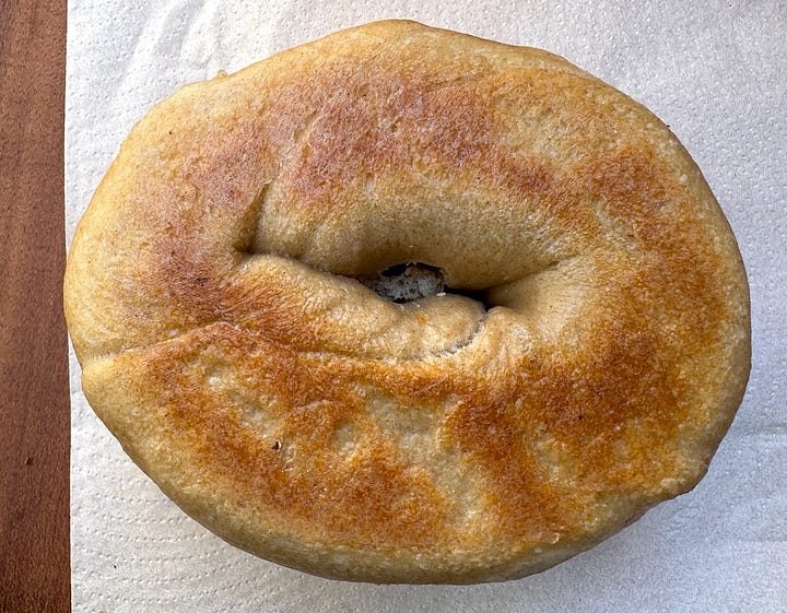 Bottoms of Breadwinner's plain and everything bagels