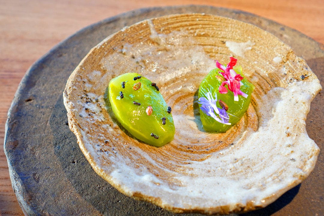 Cactus with mezcal
