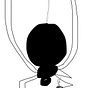 Ben Clark's avatar