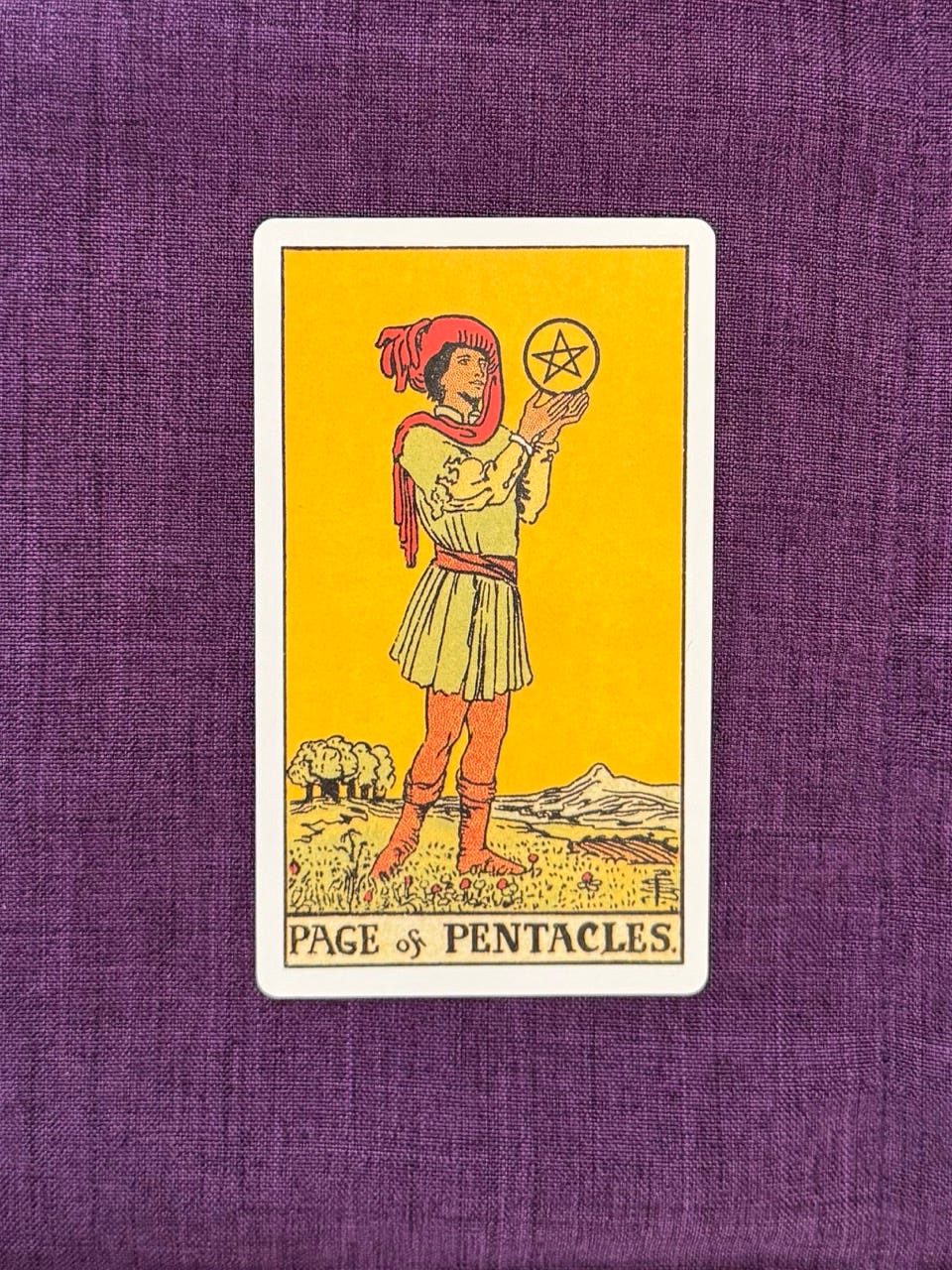 Tarot card on a purple linen cloth depicts: A young man stands by himself in a wide field surrounded by flowers. In the background there are lush trees and a furrowed field. The youth’s attention is devoted to the coin he is holding.