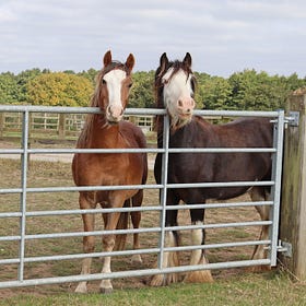 Feed manufacturer donates £10,000 to voters’ chosen charities