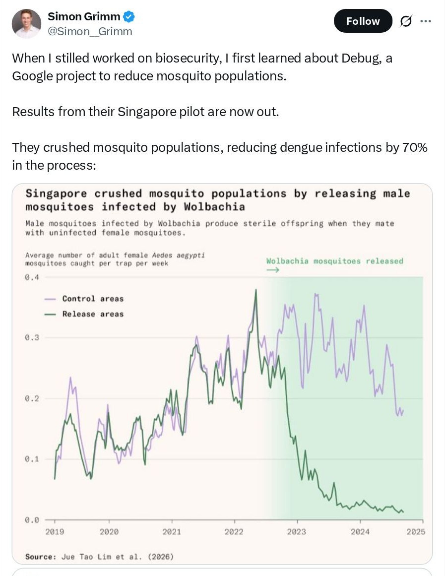 Tweet by Simon Grimm @Simon_Grimm: When I stilled worked on biosecurity, I first learned about Debug, a Google project to reduce mosquito populations. Results from their Singapore pilot are now out. They crushed mosquito populations, reducing dengue infections by 70% in the process: Chart title: Singapore crushed mosquito populations by releasing male mosquitoes infected by Wolbachia. Caption: Male mosquitoes infected by Wolbachia produce sterile offspring when they mate with uninfected female mosquitoes. Y-axis label: Average number of adult female Aedes aegypti mosquitoes caught per trap per week. Legend: Control areas (purple), Release areas (green). Shaded area labeled Wolbachia mosquitoes released. X-axis years 2019 to 2025. Source: Jue Tao Lim et al. (2026) Tweet by Simon Grimm @Simon_Grimm: When I stilled worked on biosecurity, I first learned about Debug, a Google project to reduce mosquito populations. Results from their Singapore pilot are now out. They crushed mosquito populations, reducing dengue infections by 70% in the process: Chart title: Singapore crushed mosquito populations by releasing male mosquitoes infected by Wolbachia. Caption: Male mosquitoes infected by Wolbachia produce sterile offspring when they mate with uninfected female mosquitoes. Y-axis label: Average number of adult female Aedes aegypti mosquitoes caught per trap per week. Legend: Control areas (purple), Release areas (green). Shaded area labeled Wolbachia mosquitoes released. X-axis years 2019 to 2025. Source: Jue Tao Lim et al. (2026)