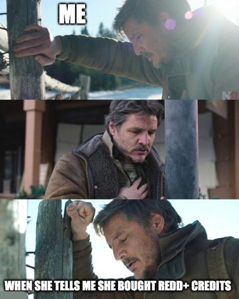 The same meme, labelled "Me" and "When she tells me she bought REDD+ credits".