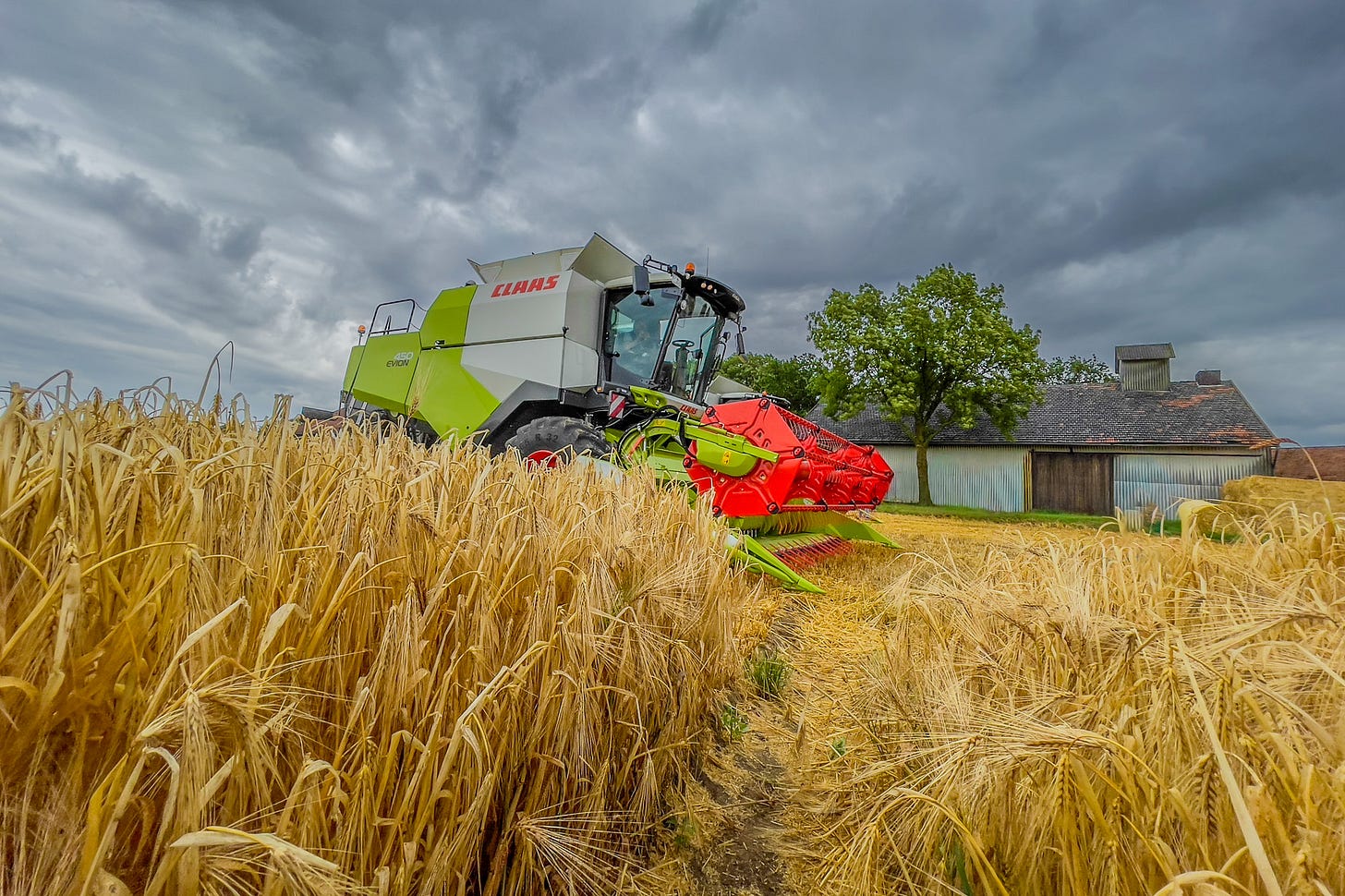 Ein grün-weisser Mähdrescher vom Modell 450 Evion der Marke Claas erntet ein reifes, goldgelbes Getreidefeld. Im Hintergrund stehen ein alter Schuppen und ein grosser Baum, darüber ziehen dunkle, schwere Regenwolken auf.