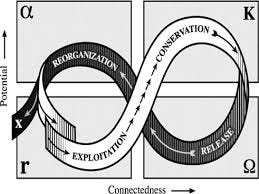 Adaptive cycle. The tail labeled "x ...