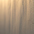 The Calm That Never Was