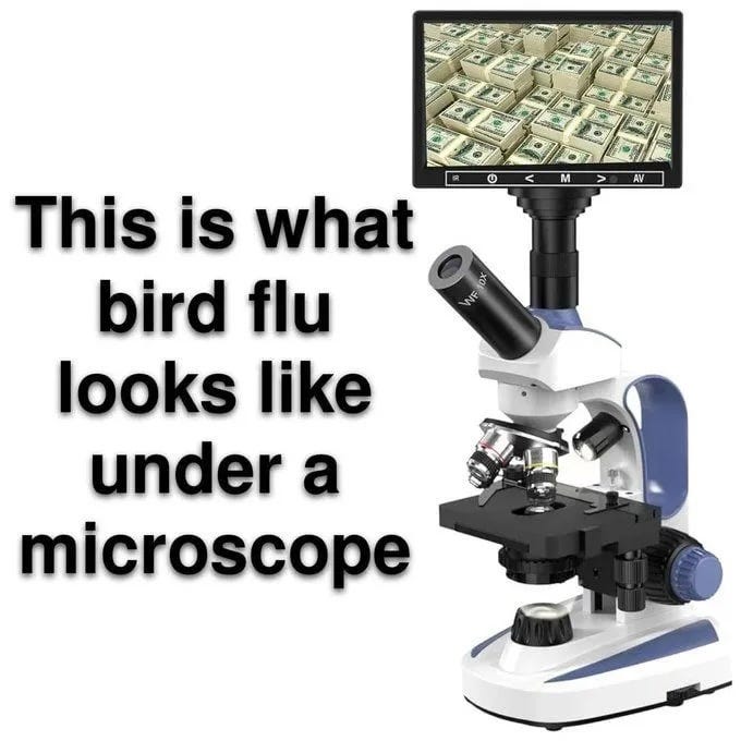 A picture containing text, microscope
Description automatically generated A picture containing text, microscope
Description automatically generated
