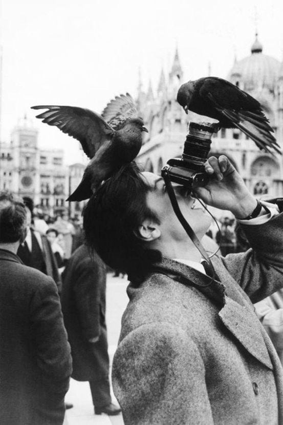 a black and white photo of a man taking a photo with two pigeons perched atop him