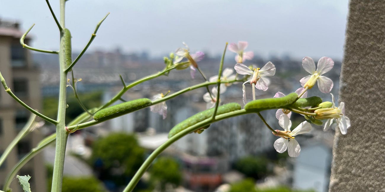 The slow unravelling 