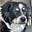 Johanne Noahsen's avatar