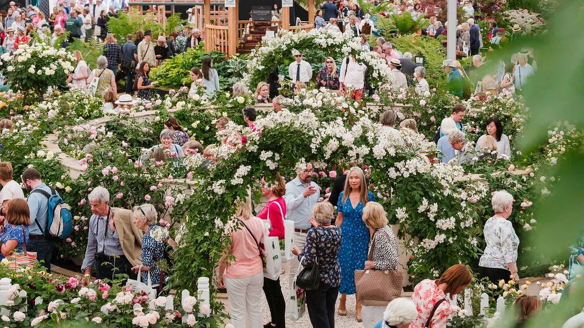 RHS Chelsea Flower Show 2026: My Very Honest Preview