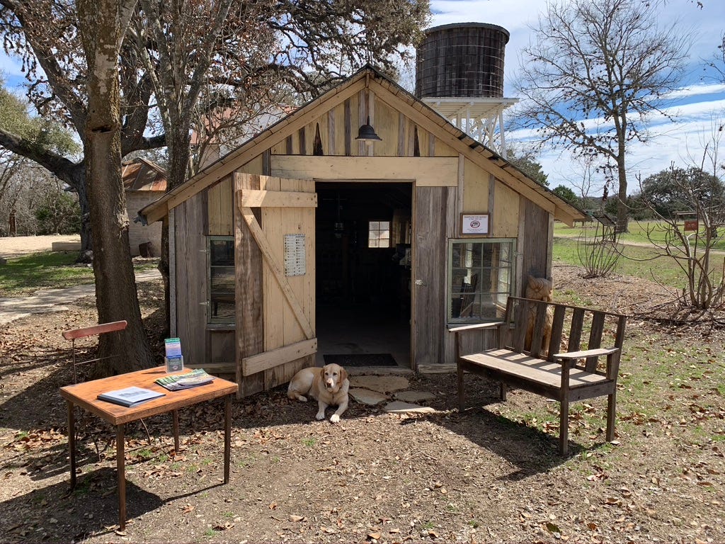 A dog lying in a shed

AI-generated content may be incorrect.