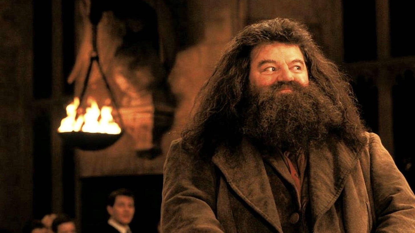 No Hogwarts without you, Hagrid': 'Harry Potter' stars, fans mourn Robbie  Coltrane