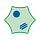 blaubiologie