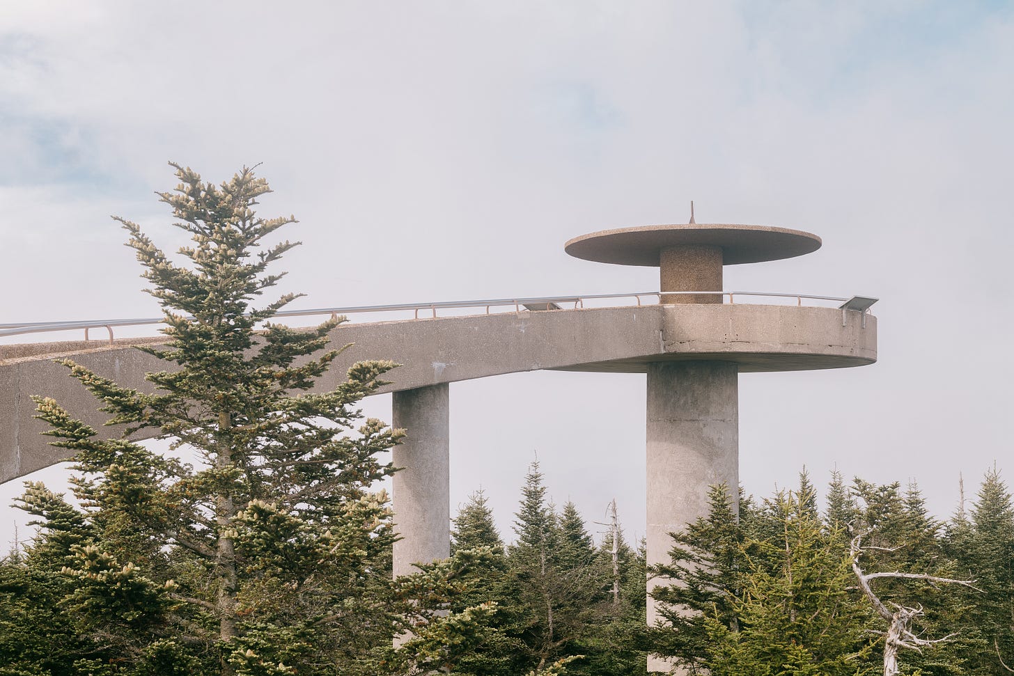 architectural photo of a large concrete tower rising above a forest