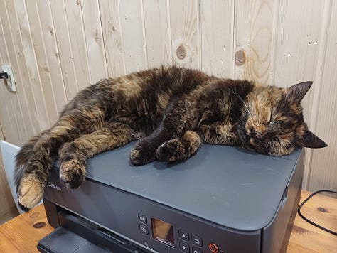 3 photos of cats. First a black cat rubbing himself against the armrest of a garden bench. Then two black cats on  a garden table. Then a brown tortoiseshell cat lying relaxed on a black printer.