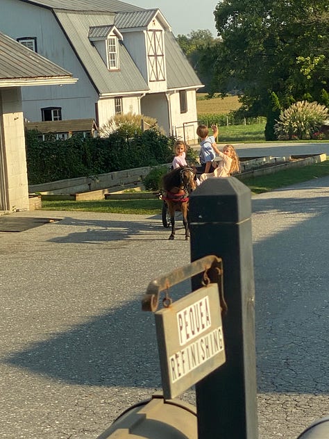 During my recent visit to The Amish Village in Lancaster, Pennsylvania, when I tried to take photos, the Amish children waved their hands to the opposite side—a gentle yet firm way of signaling their wish to remain unseen by modern technology. It’s a gesture rooted in their deep respect for tradition. As the Amish proverb says, 'A good example is the best sermon.' 🙌🚫📸