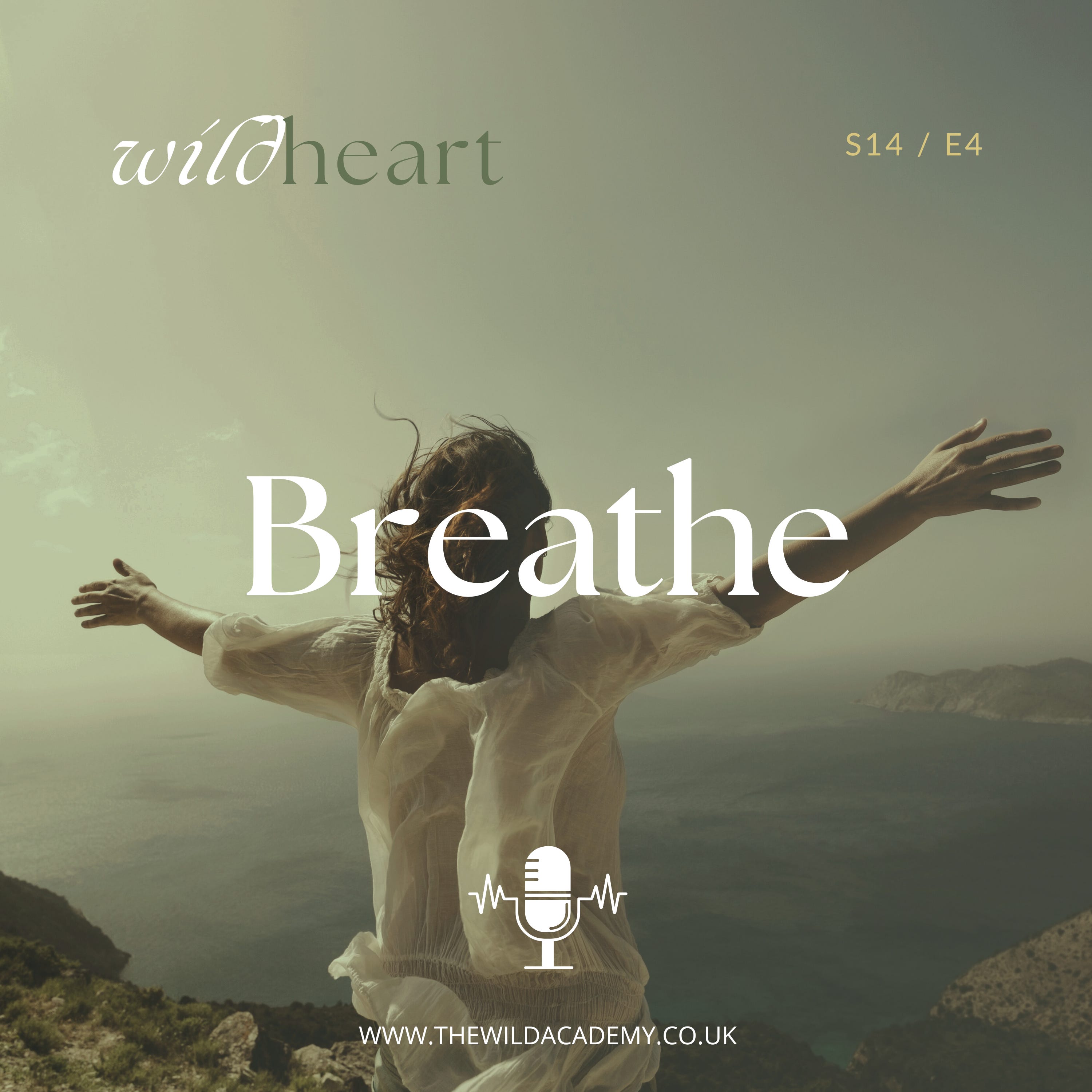 邦楽 BREATHE / SEEDA Amazon.co.jp: BREATHE: Music