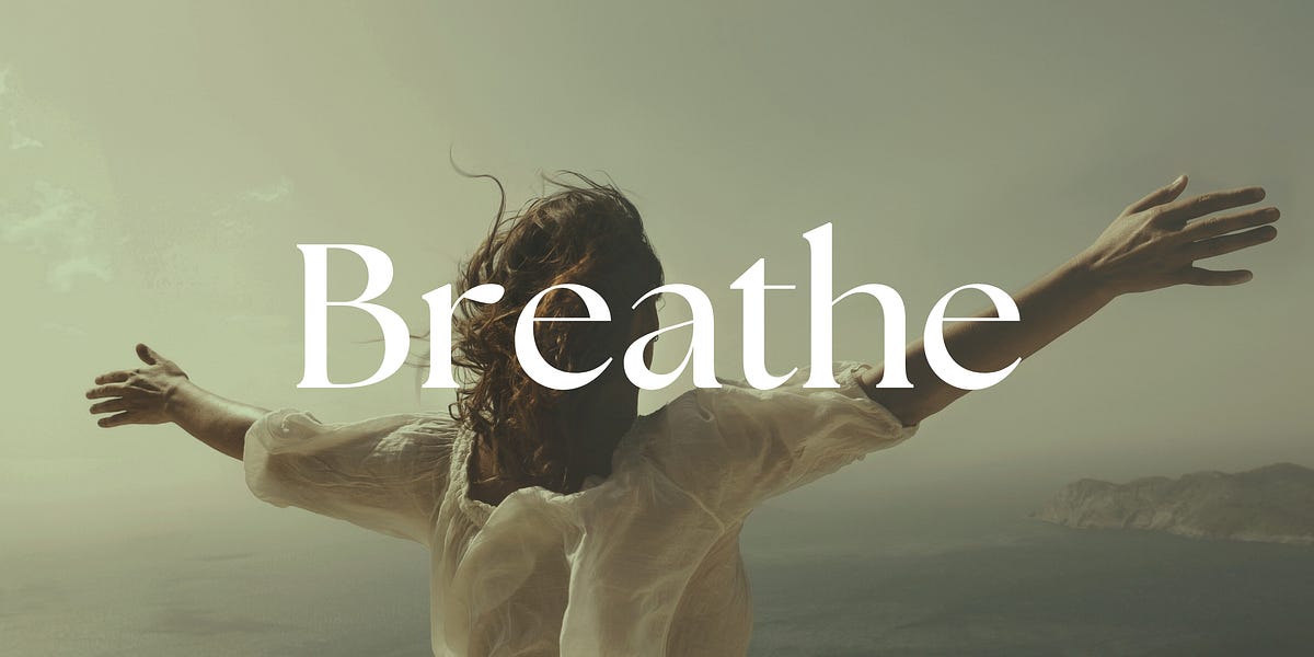 Breathe - by The Wild Academy - The Seed