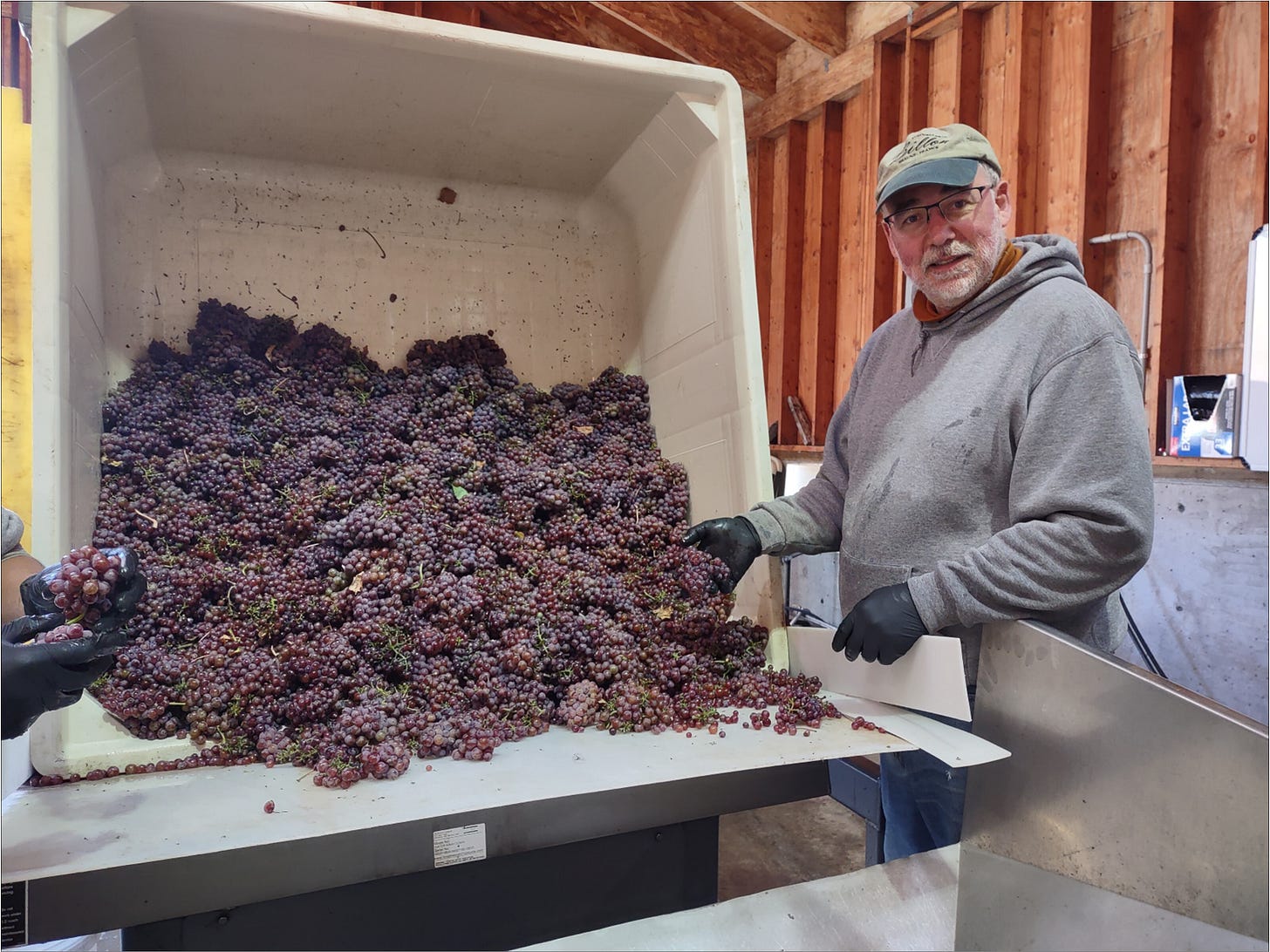 Ernie is part of the crew performing quality control with the Gewürztraminer.