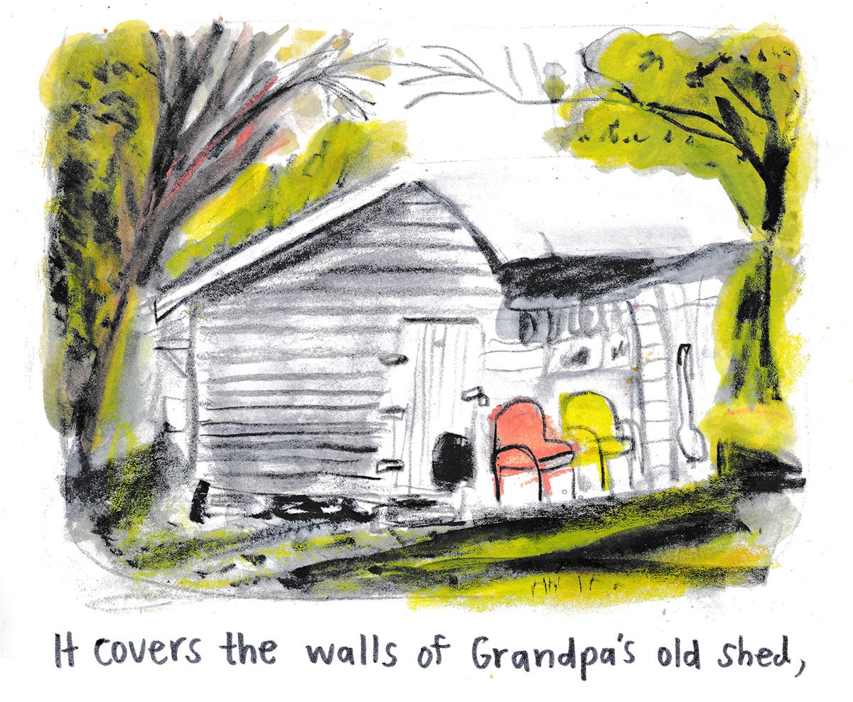 shed illustration by Beth Spencer