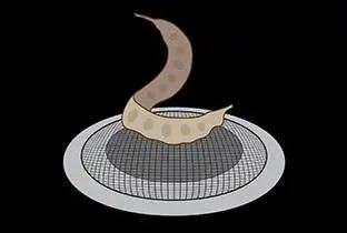 Journal of the Motherbeat