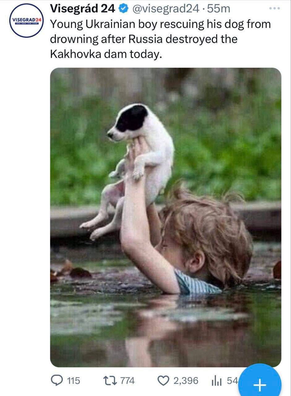 Image Image